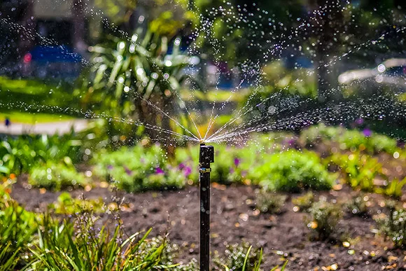 Sprinkler bewässert einen Garten
